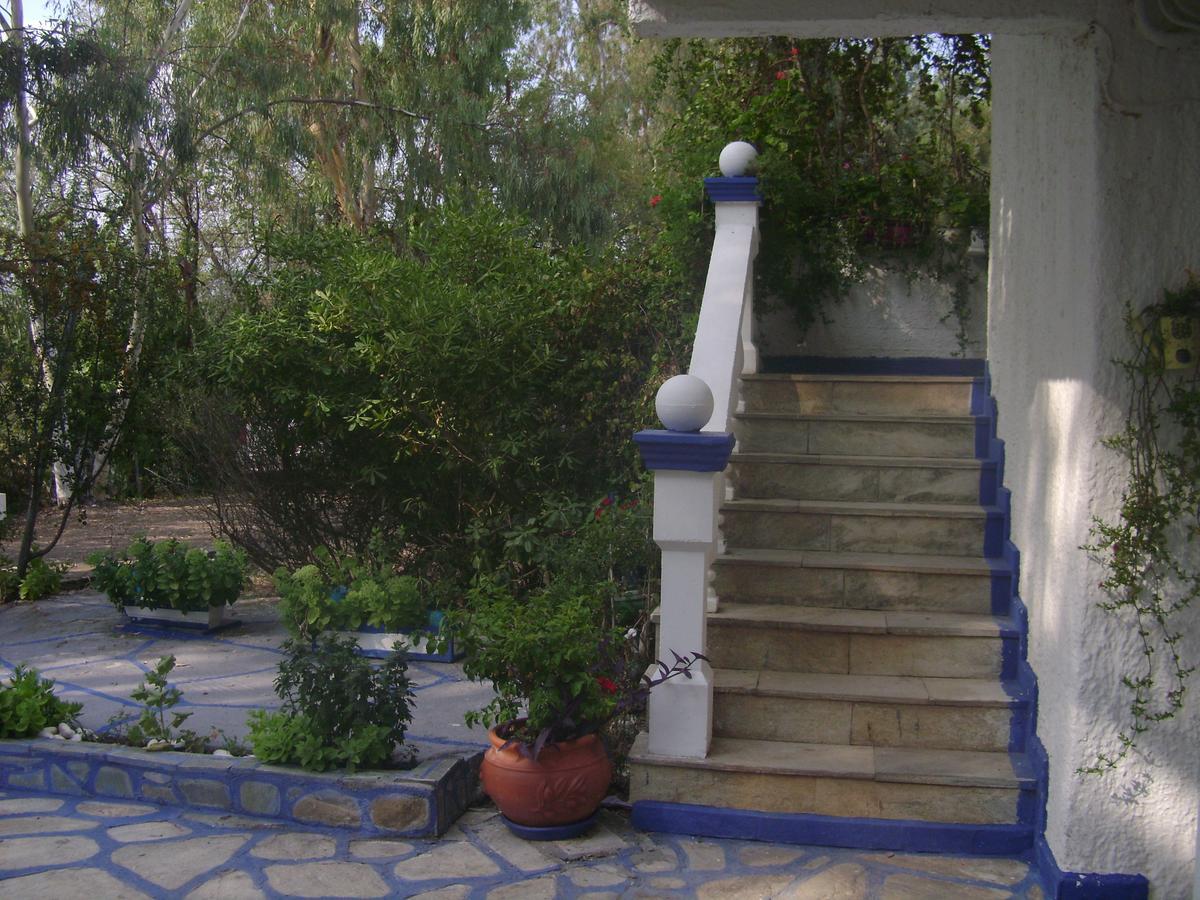 Villa Zoi Thronion Exterior foto